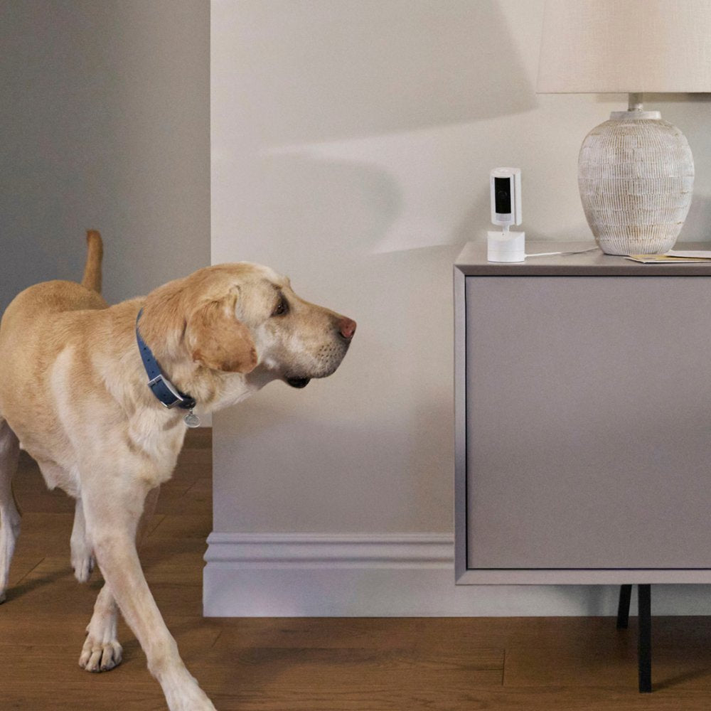 Ring Pan-Tilt Indoor Cam 360° pan and 169° tilt, (White / Black)