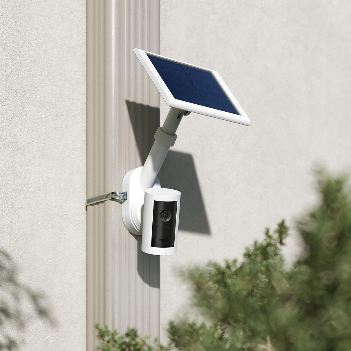Ring Pole and Wall Mount for Cameras and Solar Panels (Black / White)