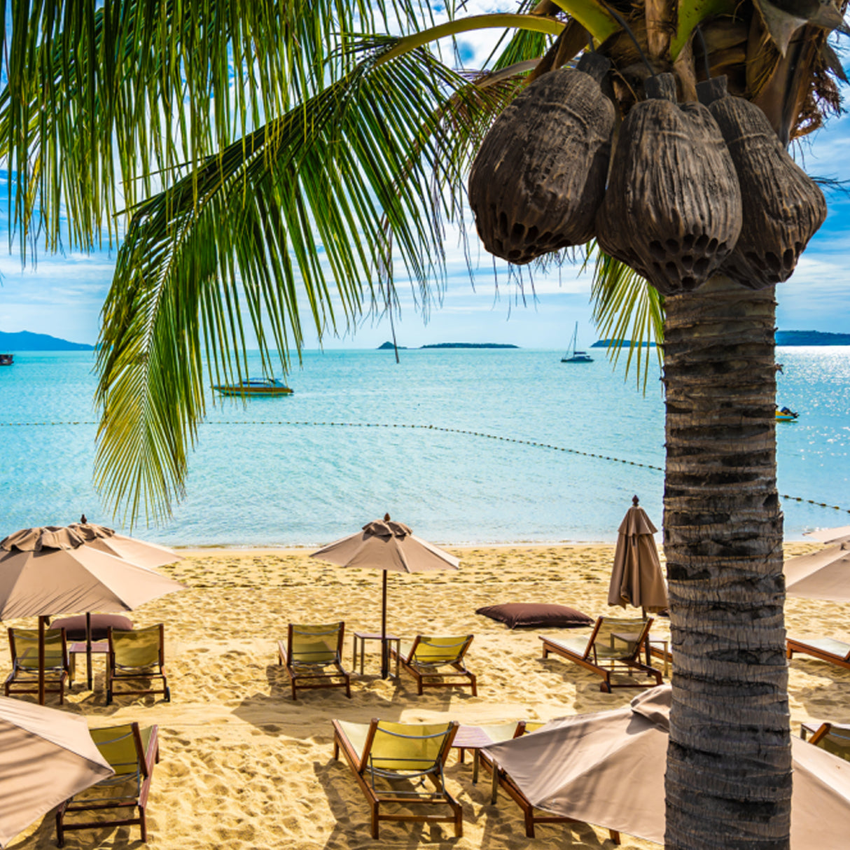 Rockustics COCONUTZ, 5.25" two-way Outdoor Coconutz Speaker (Each)