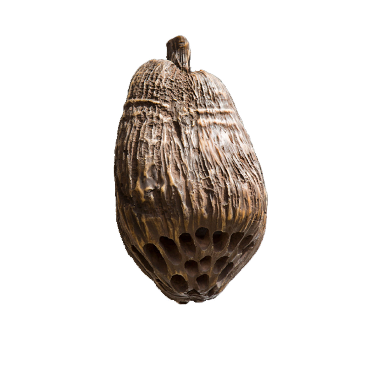 Rockustics COCONUTZ, 5.25" two-way Outdoor Coconutz Speaker (Each)