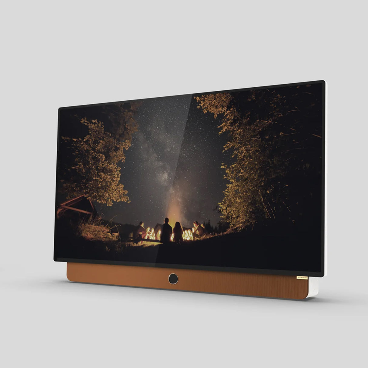 Skyworth 24P100 Companion 24" portable TV 1080P with battery and Google streaming