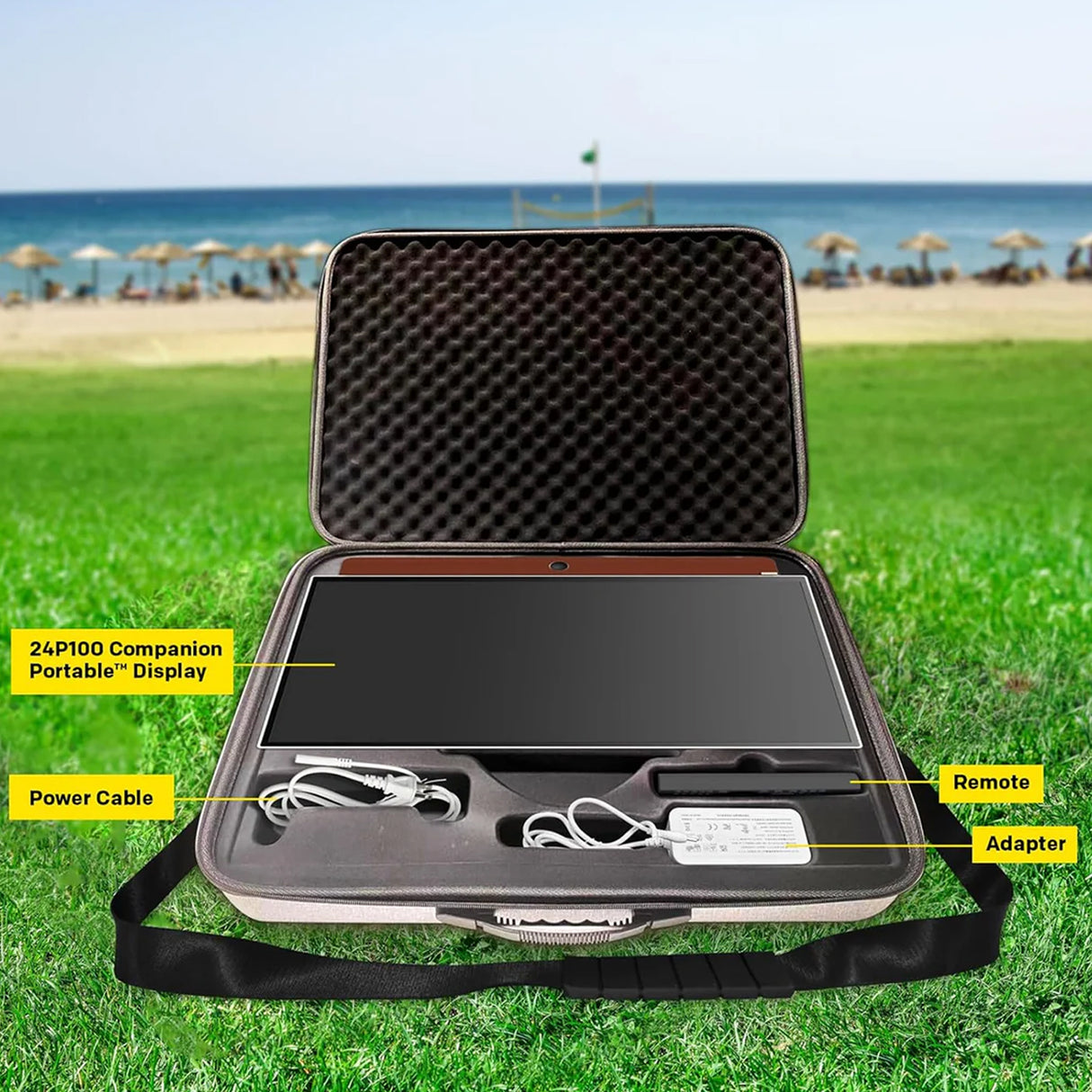 Skyworth 24" portable TV Carrying Case