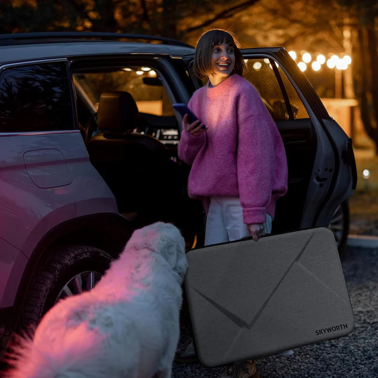 Skyworth 24" portable TV Carrying Case