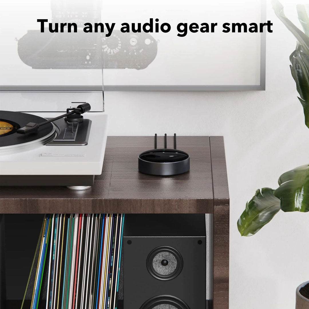 WIIM MINI, Wireless Audio Streamer Preamplifier