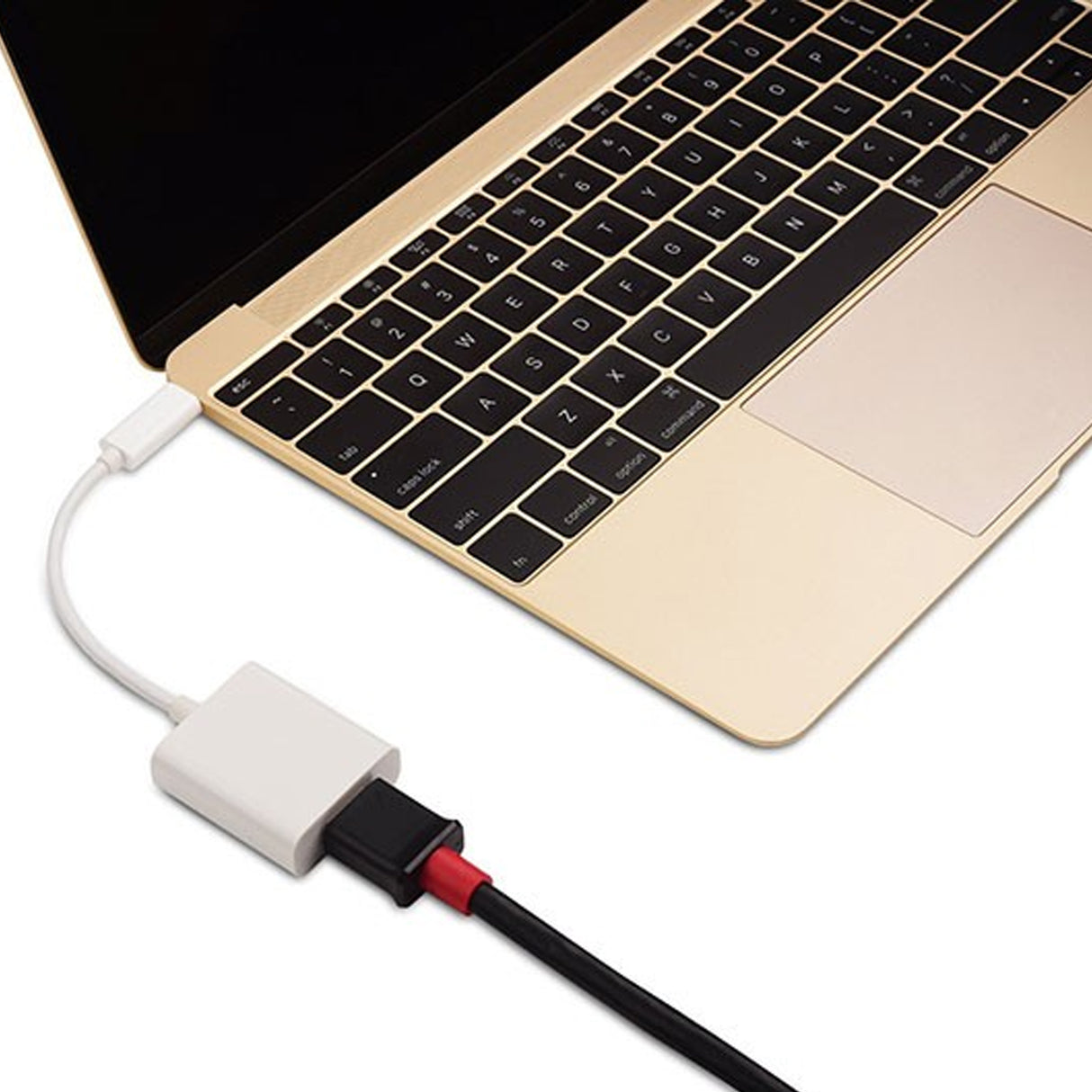 Acegear USBCM2HDMIF 6 Inches USB TypeC Male to HDMI Female 4k 30Hz Adapter.