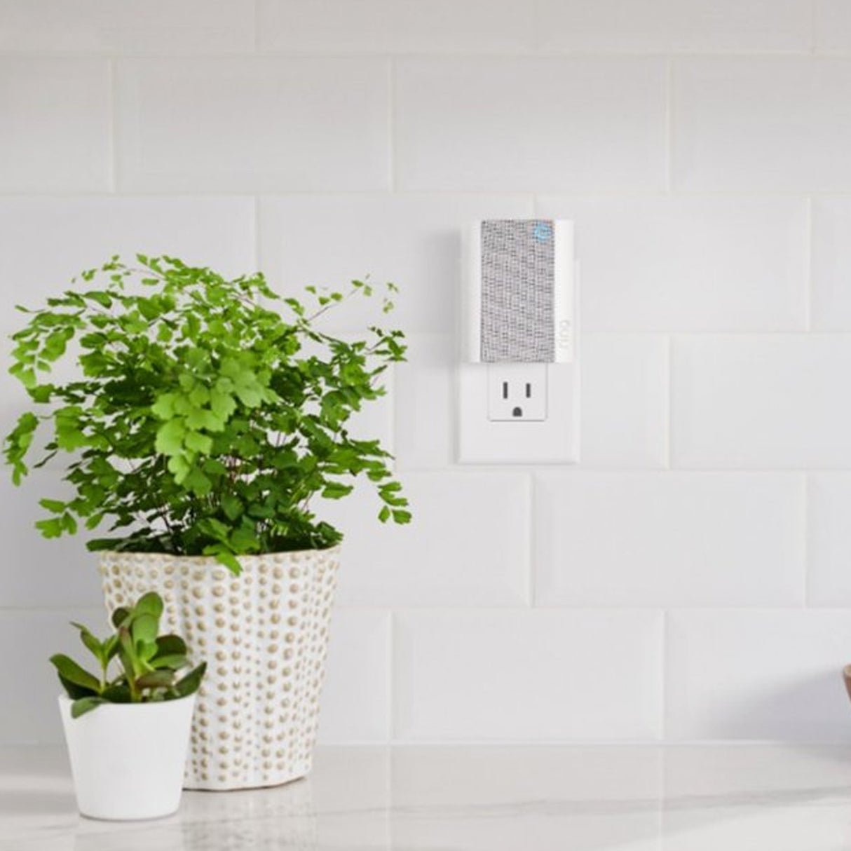 Ring Chime (2nd Generation)