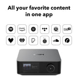 WIIM Amp Ultra Music Streamer & Amplifier, 3.5 Touchscreen, Space Gray
