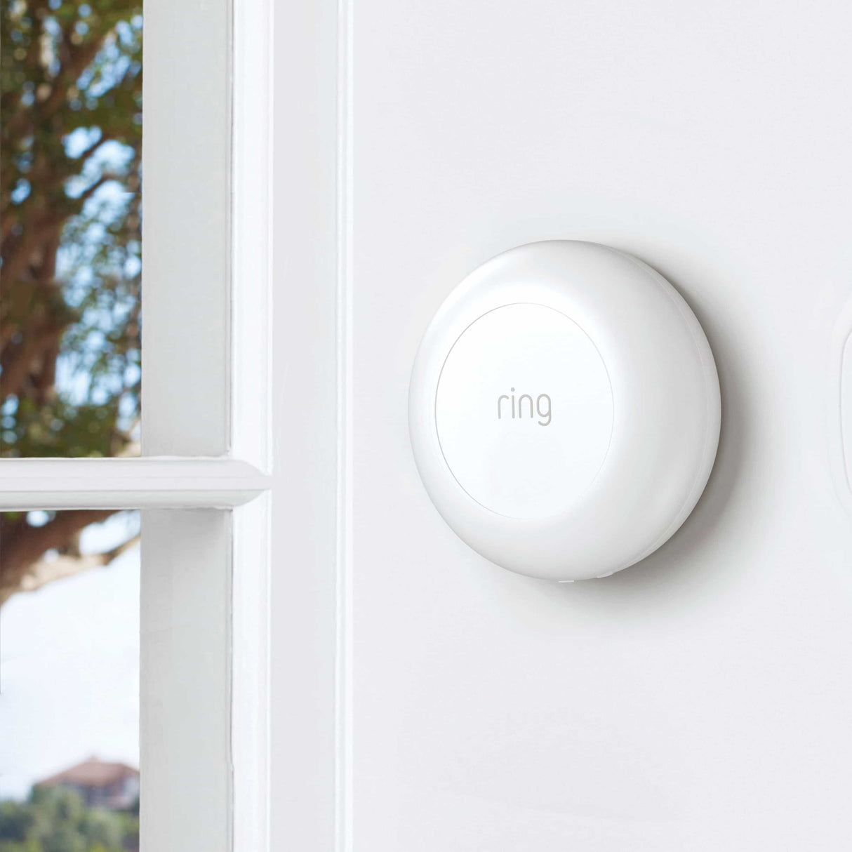 Ring Alarm Smoke & CO2 Listener.