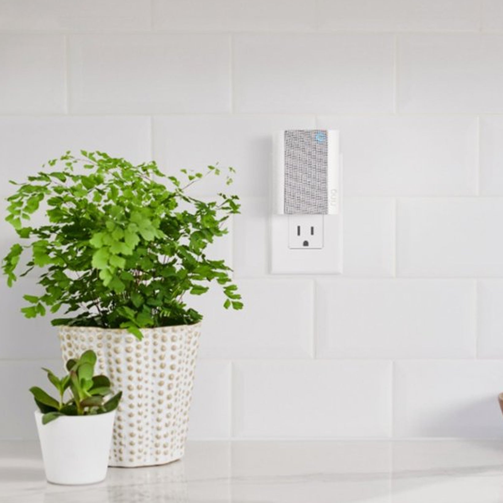 Ring Chime (2nd Generation)